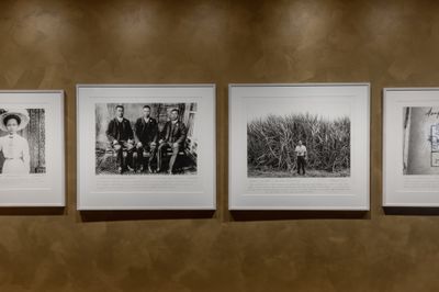 William Yang, Fang Yuen and Business Partners; In Cane Fields (both 2008). 'My Uncle's Murder' series. Exhibition view: 24th Biennale of Sydney, Ten Thousand Suns, UNSW Galleries (9 March–10 June 2024). Photo: Jacquie Manning.