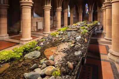 Abbas Akhavan, variationsonafolly (2022). Scaffold, plywood, pond liner, aggregate, clay, garden silt, soil, rocks, water, pond pump and tubing, plants sourced from the gardens, hardware, full spectrum lights. Dimensions variable. Exhibition view: _study for a garden, _Mount Stuart House, Isle of Bute, U.K. (30 April–2 October 2022).