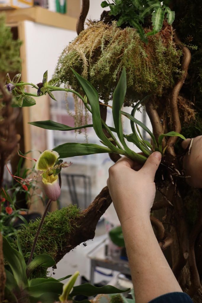 a hand arrranging flowers