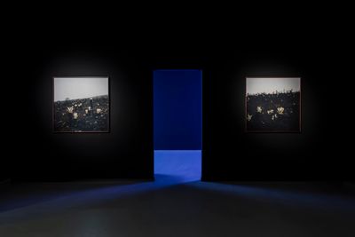 Exhibition view: Rising waters, radiating lights, Zilberman, Istanbul (19 September–7 December 2024).