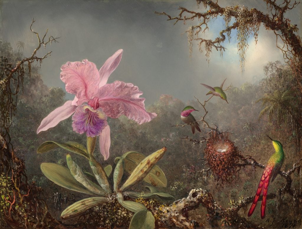 a mystical looking painting of a pink, orchid blossom in a rainforest