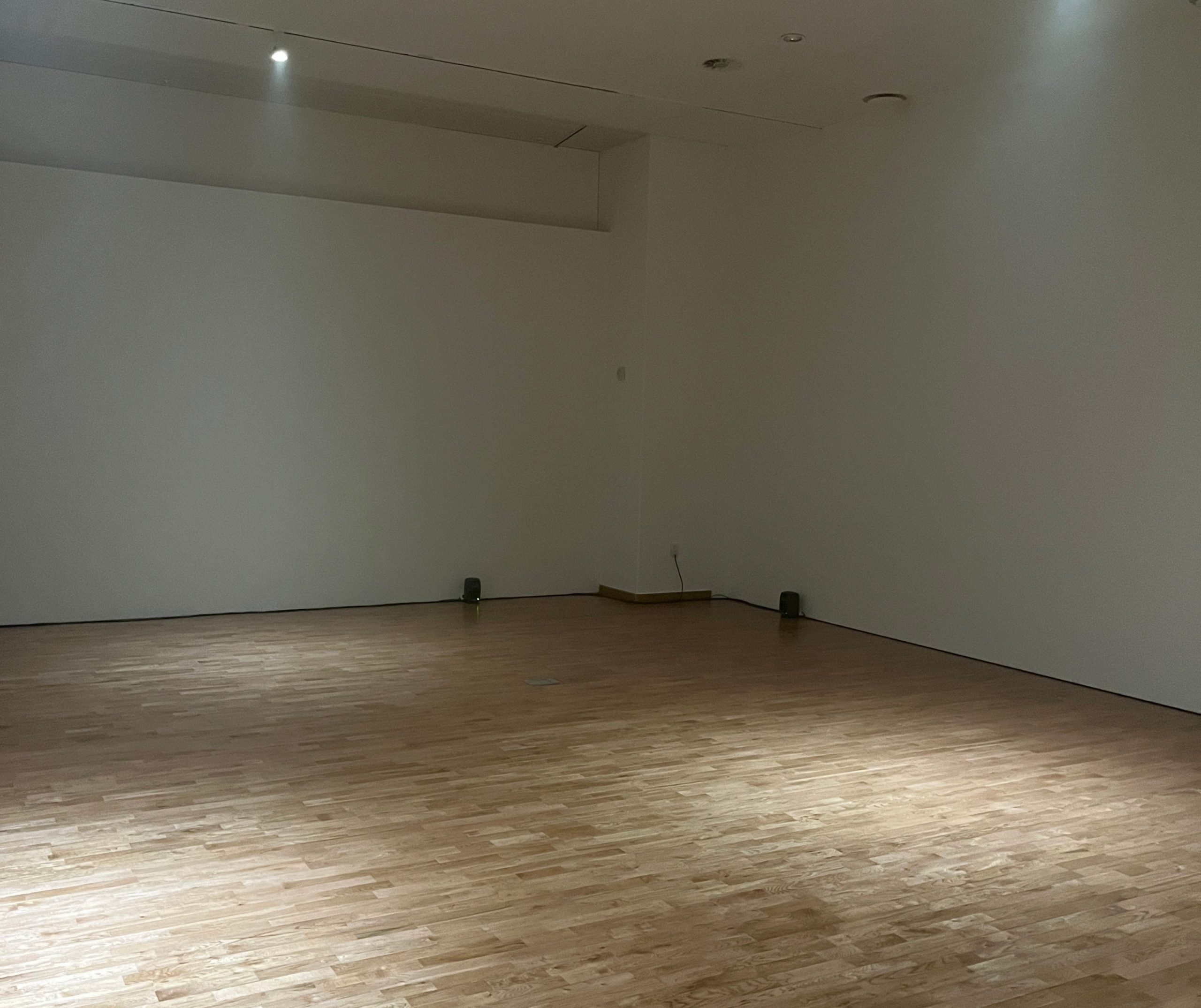 A color photo shows an empty space with white walls, wooden floors, and a few lights shining down from overhead.