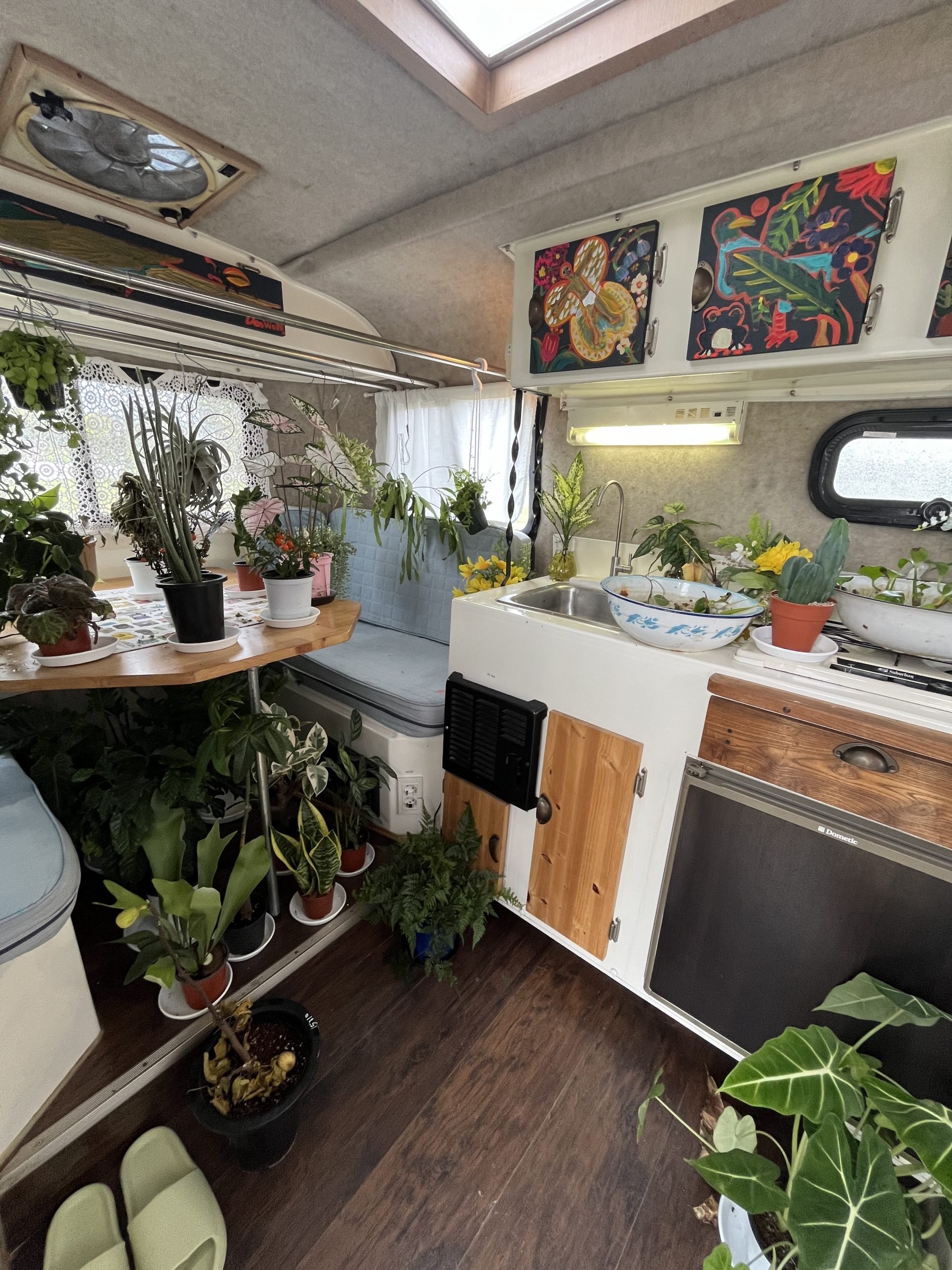 A cramped interior has a sink, many plants, and more.