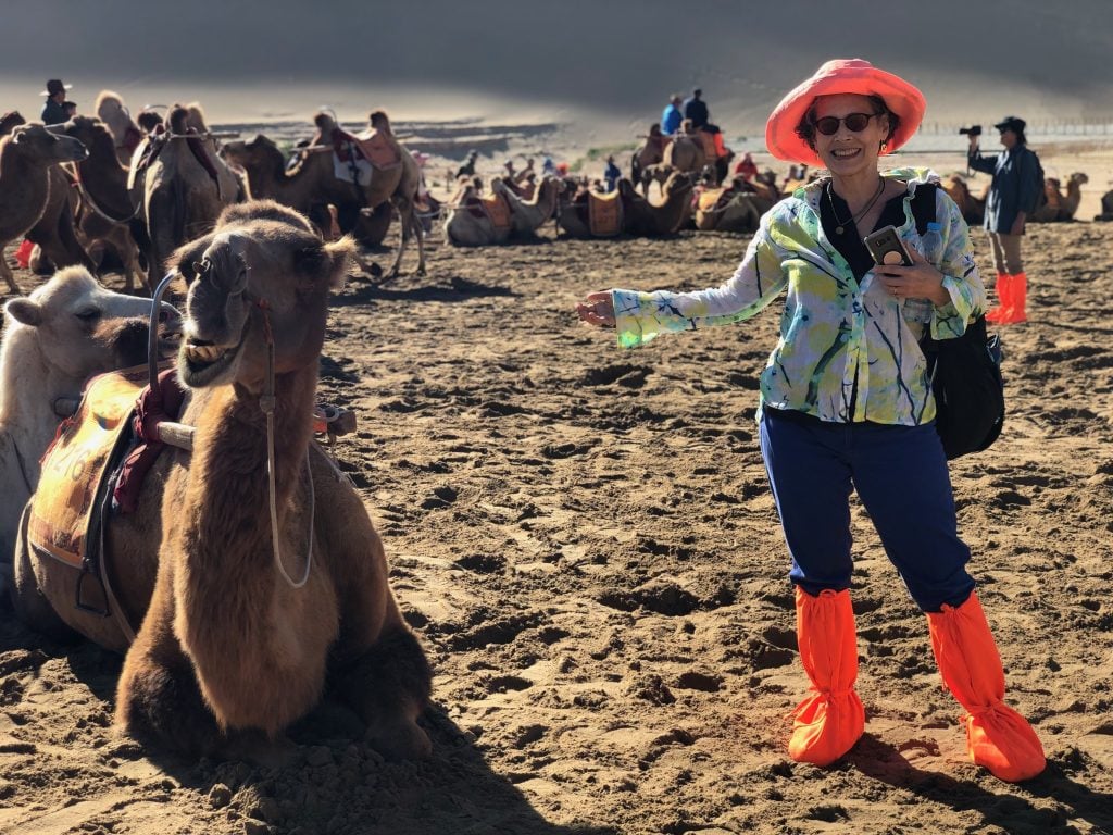 a woman stands next to camemls. she wears bright orange plastic booties over her shoes