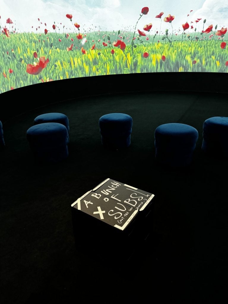 A box labeled "a bunch of stuff" sitting in a darkened room in front of a video screen showing a field of red flowers