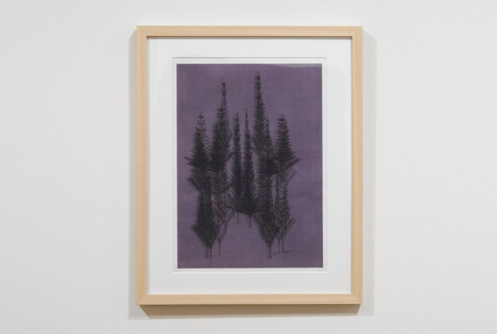 an artwork hanging on a wall is a farmed purple square with dark lines denoting a cluster of pine trees floating