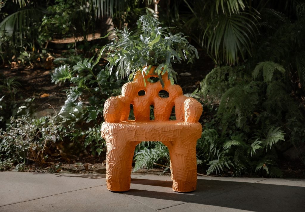 a terra cotta chair sprouts a plant 