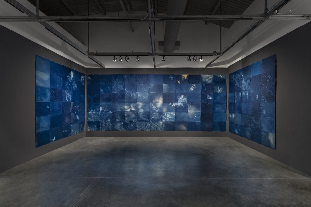 an installation view of blue collages in a dark space