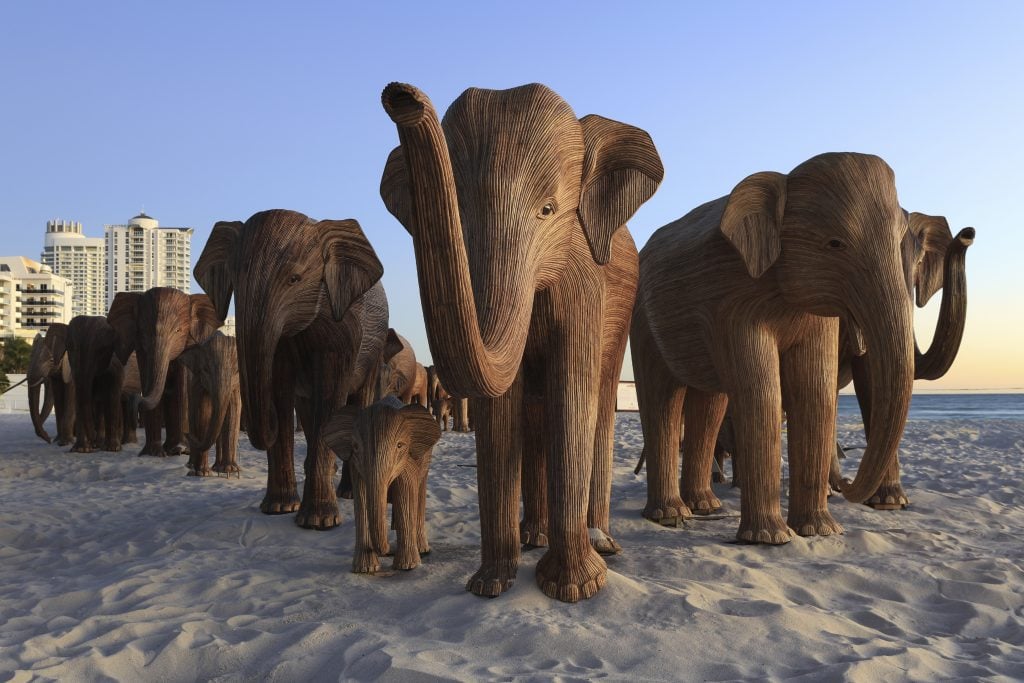 A photograph of "The Great Elephant Migration," a herd of 100 life-size wooden elephant sculpture, on the beach in Miami Beach. 