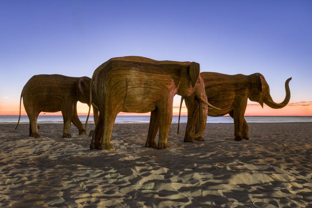 A photograph of "The Great Elephant Migration," a herd of 100 life-size wooden elephant sculpture, on the beach in Miami Beach. 