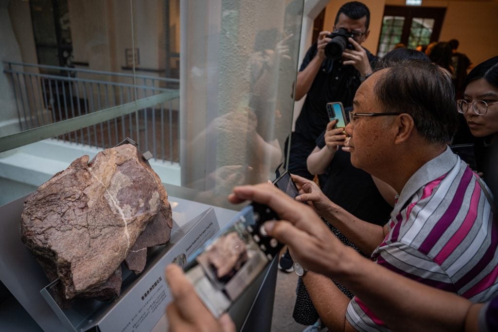 man looking at a stone with a fossil inside a glass case surrounded by a crowd of interested people